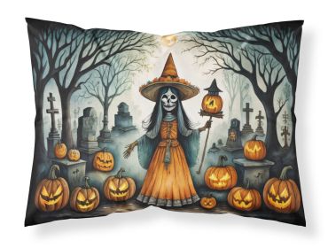 La Llorona Skeleton Spooky Halloween Standard Pillowcase Lightweight Super Soft Easy Care Decorative Artwork Pillowcase, Standard